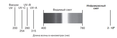 Виды ламп дневного света размеры маркировка